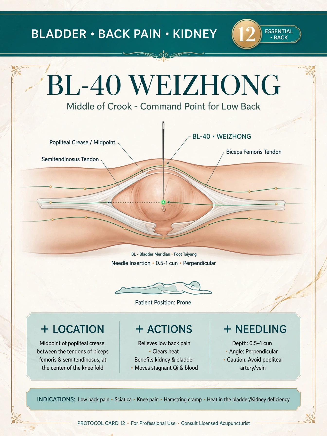 Protocol card: Bladder meridian, back pain relief