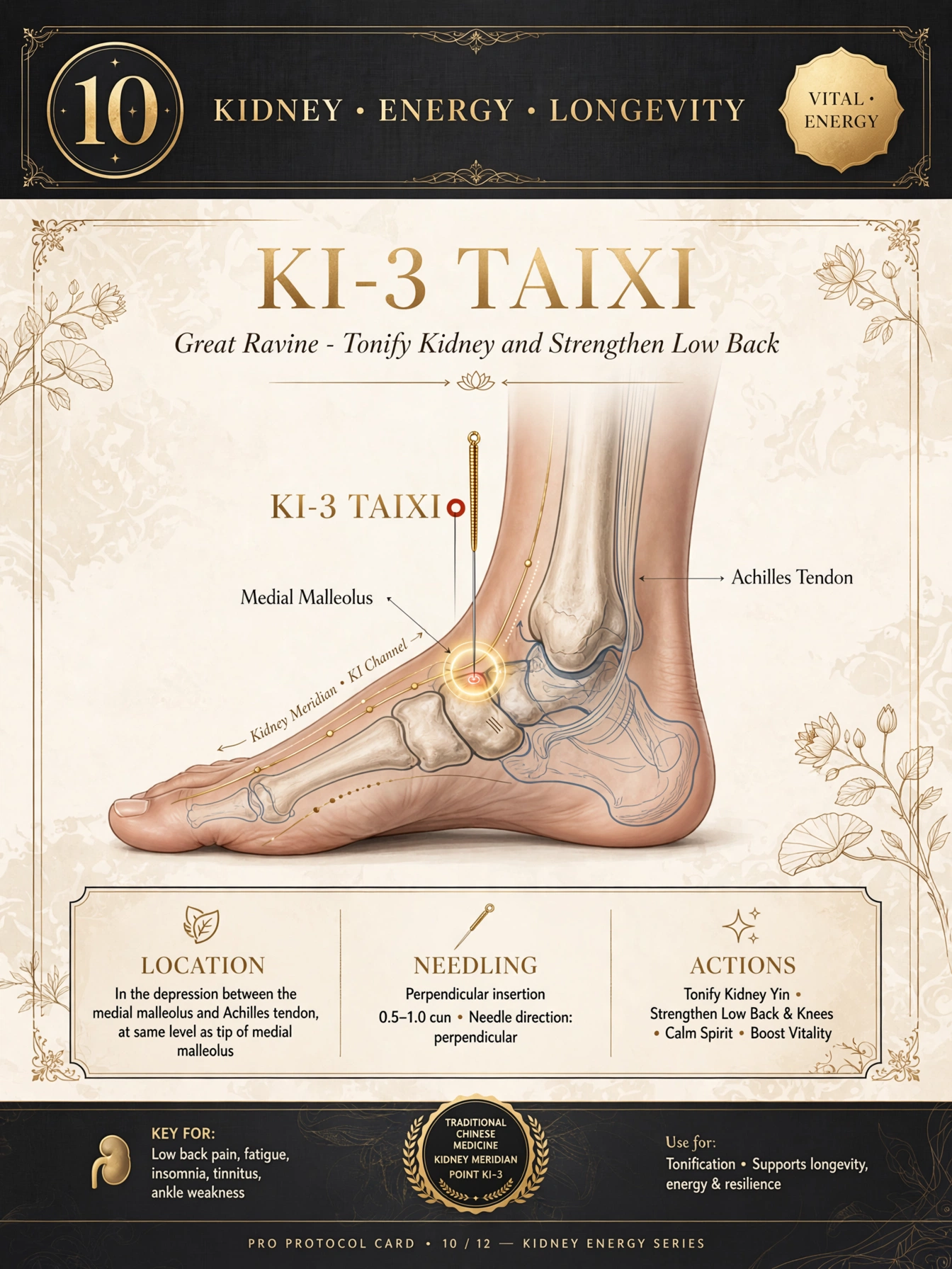 Protocol card: KI-3 Taixi